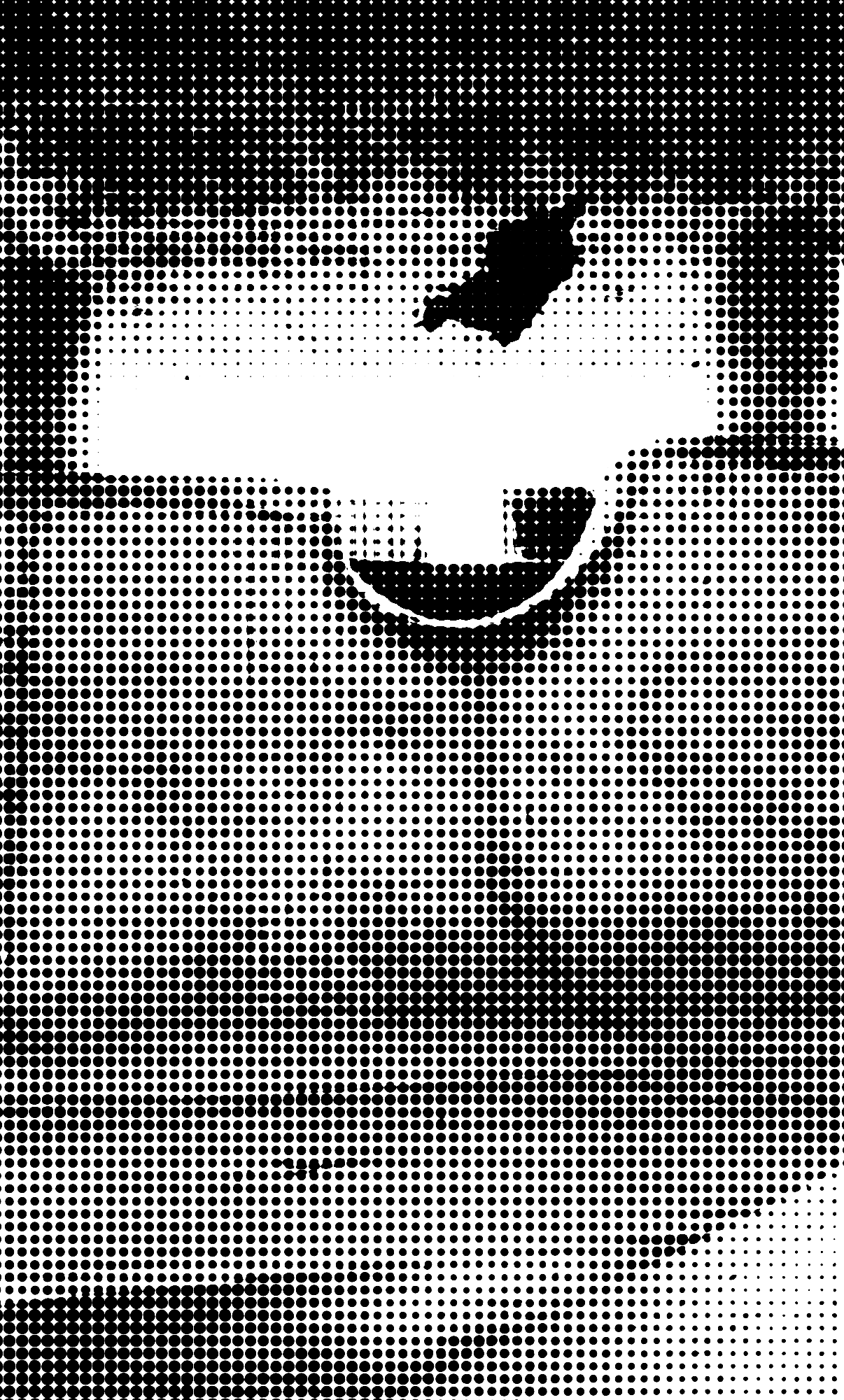 Bolos Halftone Tee